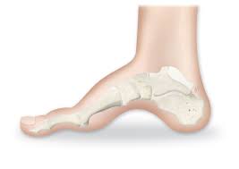 CMT Hastalığı Charcot-Marie-Tooth Hastalığı
